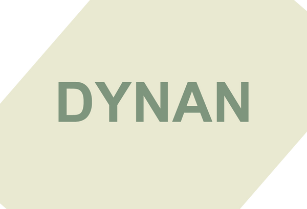 Dynan.se